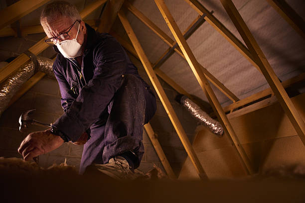 Best Insulation for New Construction  in , WI