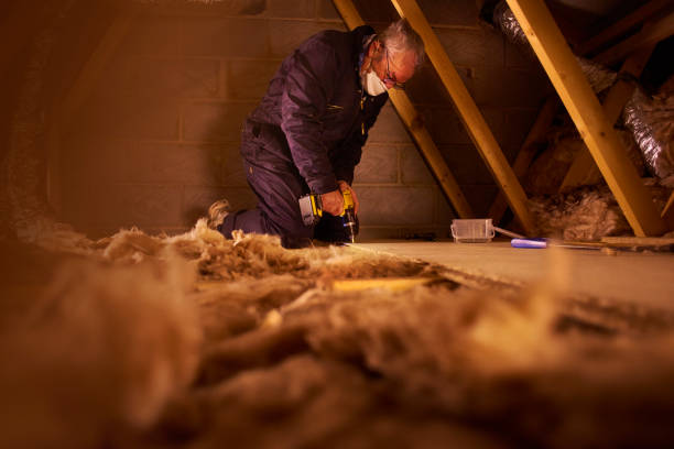 Best Fiberglass Insulation  in , WI